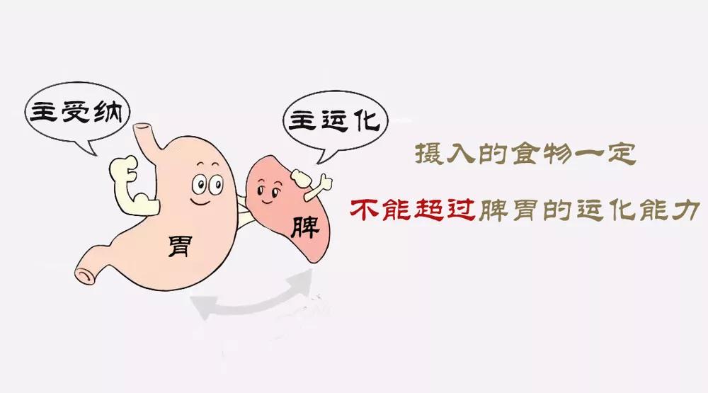 脾胃.jpg